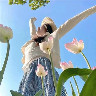 花园派对 封面