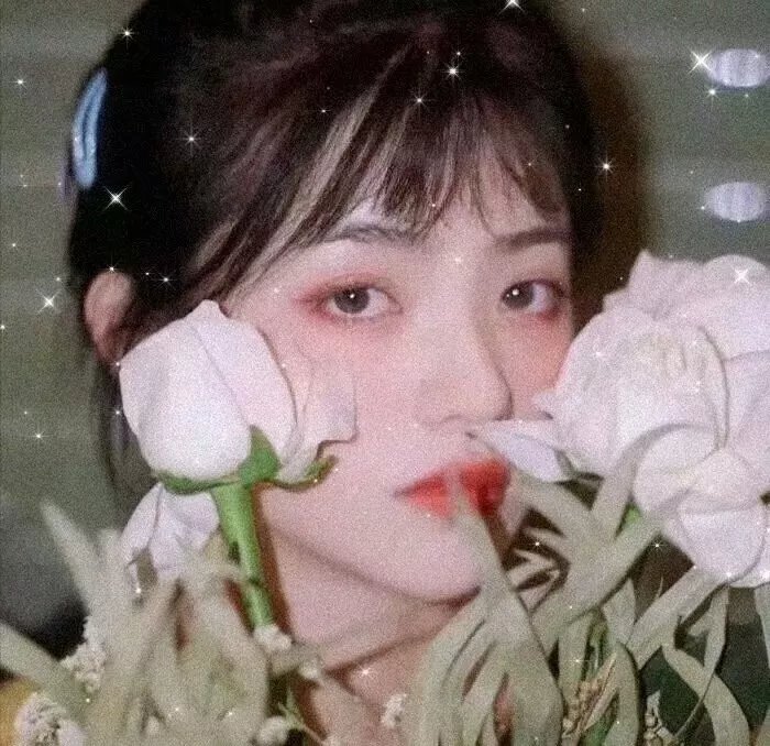 艾娃与莱昂国语 封面