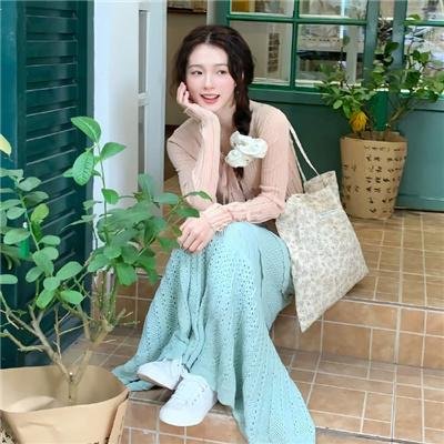 艾米丽的美国化 封面